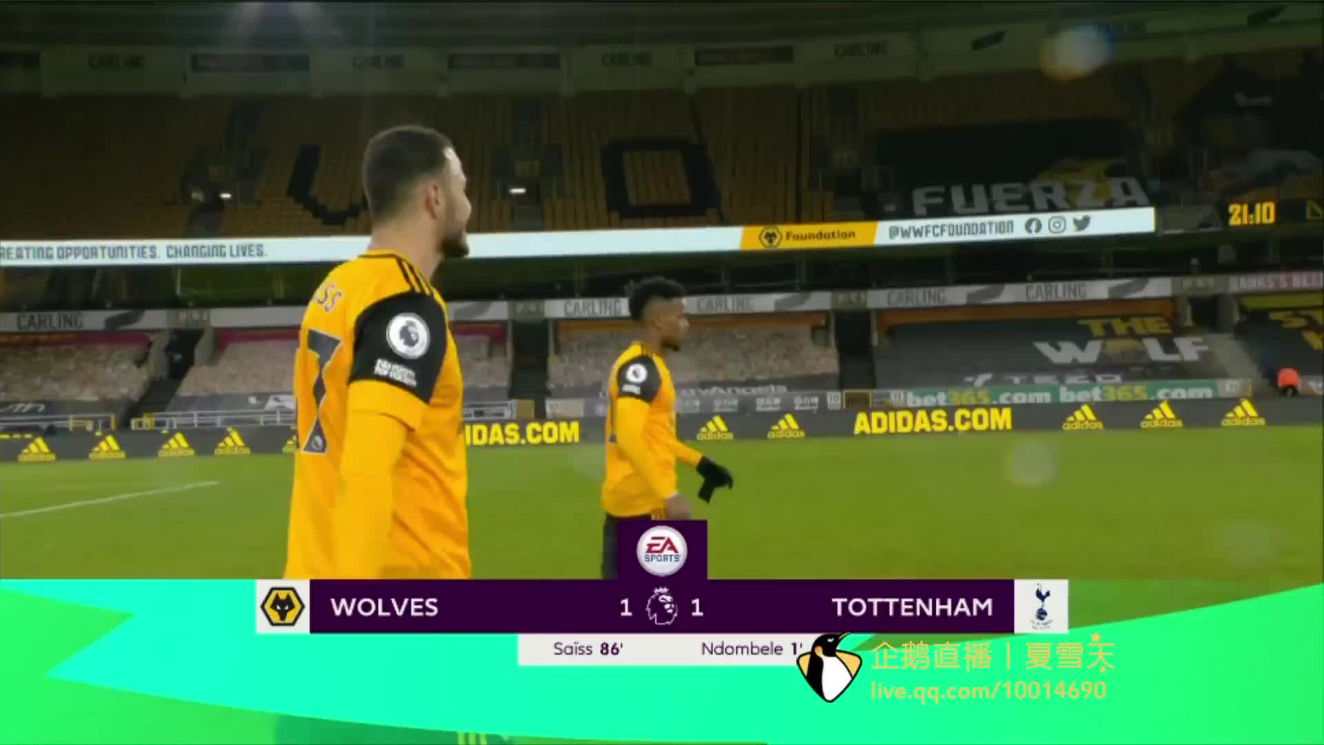 来以稳健的 来以稳健的