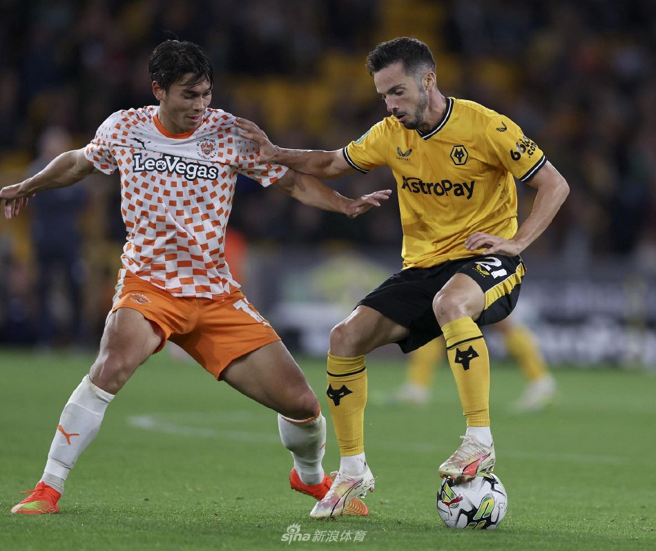 象深刻的比 象深刻的比